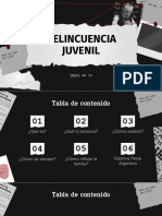 Delincuencia Juvenil