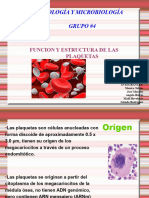 Copia de Funcion de Las Plaquetas Diapositivas