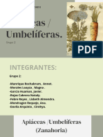 Presentación Proyecto de Investigación Minimalista Verde y Beige - 20240214 - 211733 - 0000