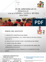 Ppt- Perfil Docente Tania