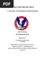 Download referat uveitis by Laurentius Oktavianus SN72050826 doc pdf