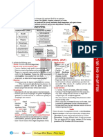 Digestions and Absorption-Copy-1