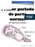 (10 Ok) Primer Periodo de Parto Normal - (Dr. Hugo Castro Toscano) - Unlocked