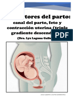 Los Factores Del Parto - Canal Del Parto, Feto y Contracción Uterina (Triple Gradiente Descendente) - Dra. Lyz Laguna Gallegos - Unlocked