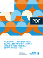 1 Pautas Transformacion