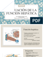 Evaluación Función Hepática (1)