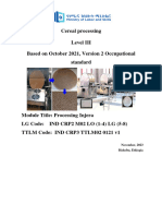 M-02 Injera Processingx