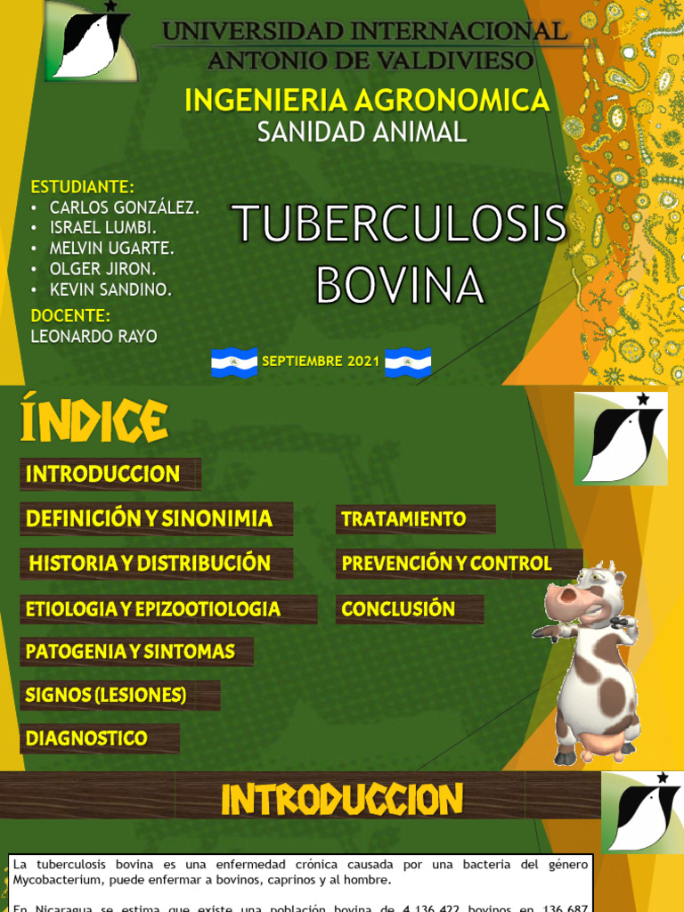 Sanidad Animal | PDF | Tuberculosis | Mycobacterium