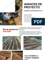 AVANCES DE PROYECTOfrijol