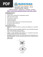 Botany Practical Record Book | PDF | Mitosis | Leaf