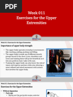 Upper Extremity Dumbbell Home Exercise Program | PDF | Anatomical Terms ...