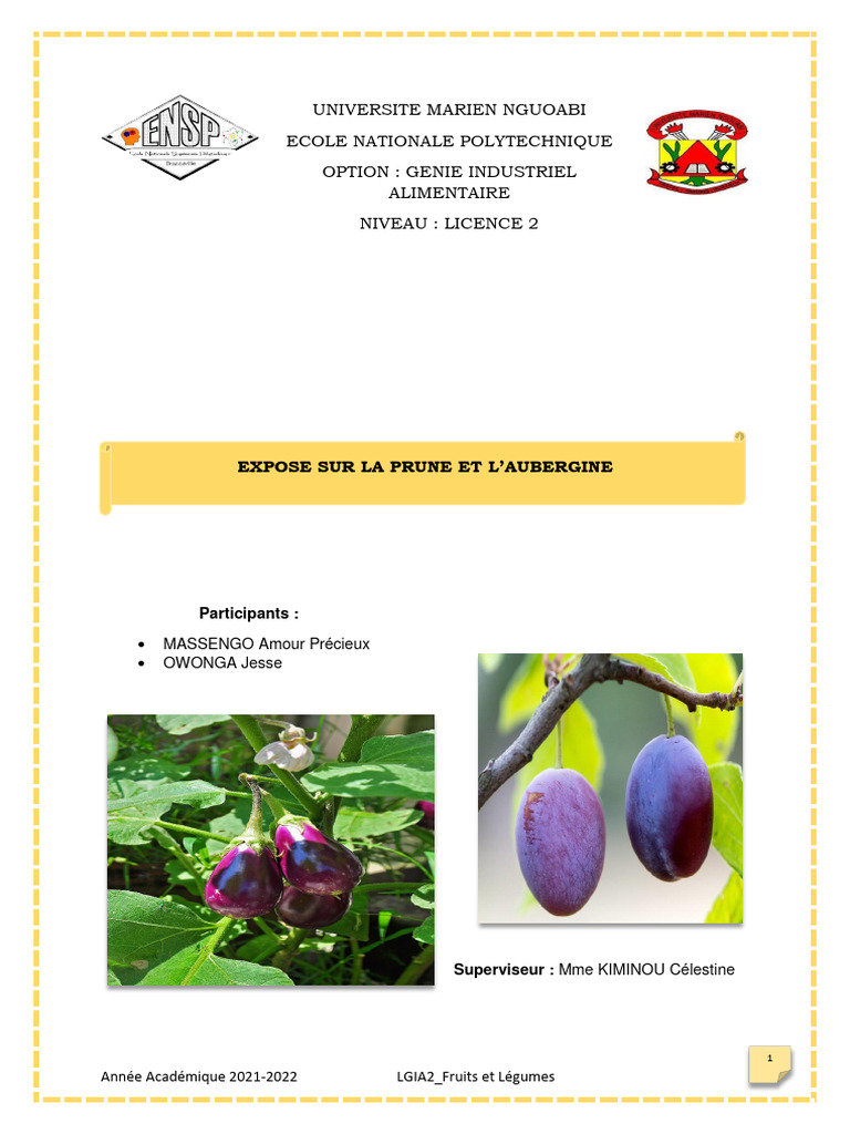 Exposé sur la Prune et l'Aubergine | PDF | Prune | Fruit
