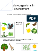 Unit 7_Microorganisms_Food Chain and Food Web