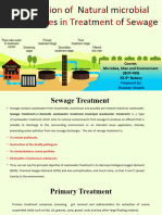 Sewage Treatment