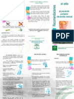 Recomendaciones Al Alta Del Paciente Portador de Sonda Vesical