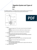 4-Chapter - The Digestive System and Types of Teeth in Humans