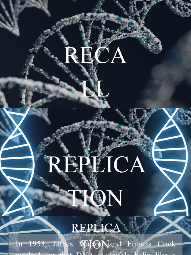 Replication & 3 Major Types of Rna | PDF | Dna | Rna