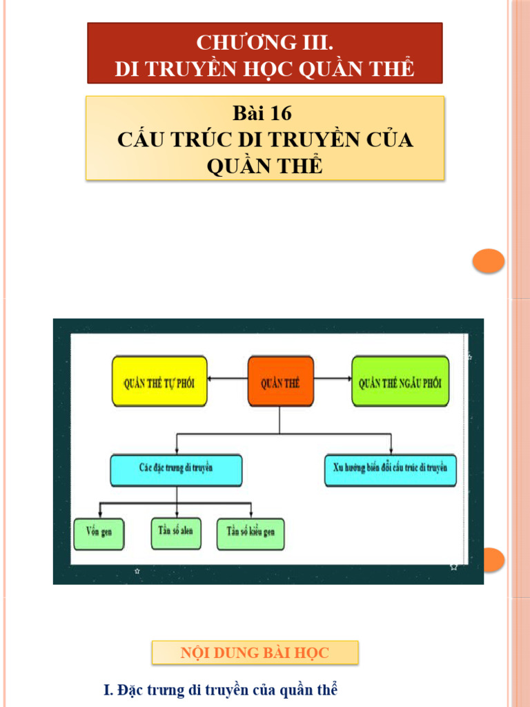 Bai 16 Cau Truc Di Truyen Cua Quan The | PDF