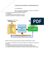 T 6 Desarrollo Cognitivo 0-2 PIII