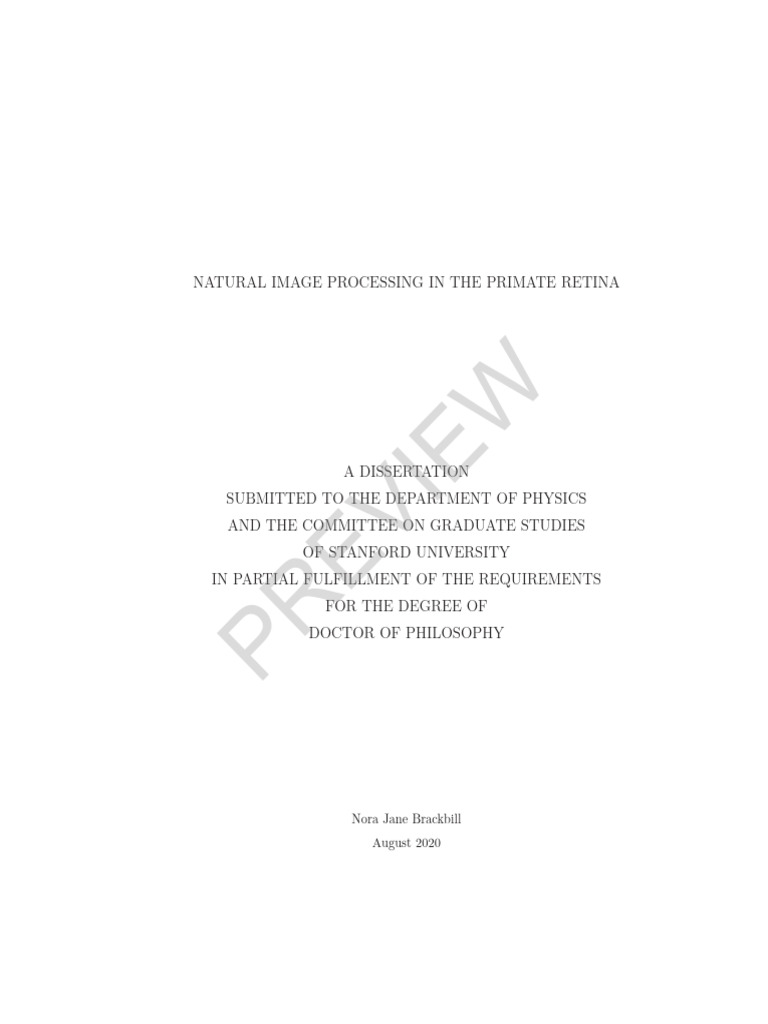 Primate Retina Natural Image Processing | PDF | Retina | Visual Perception