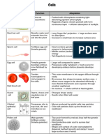 Cells Notes