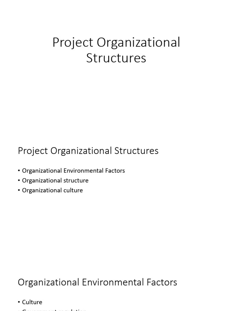 Project Management Structures Guide | PDF