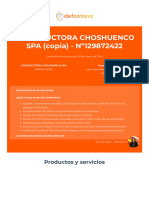 CONSTRUCTORA CHOSHUENCO SPA (Copia)