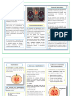 HipoeHipertiroidismo Folleto