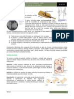 Tema 5. A Célula