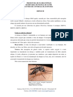 Dengue: Aedes Aegypti (Brasil e Américas) e Aedes Albopictus (Ásia) - Tem Caráter Epidêmico, Ou Seja