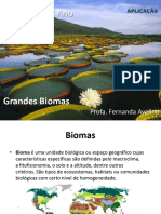 Aula 07 - Biomas