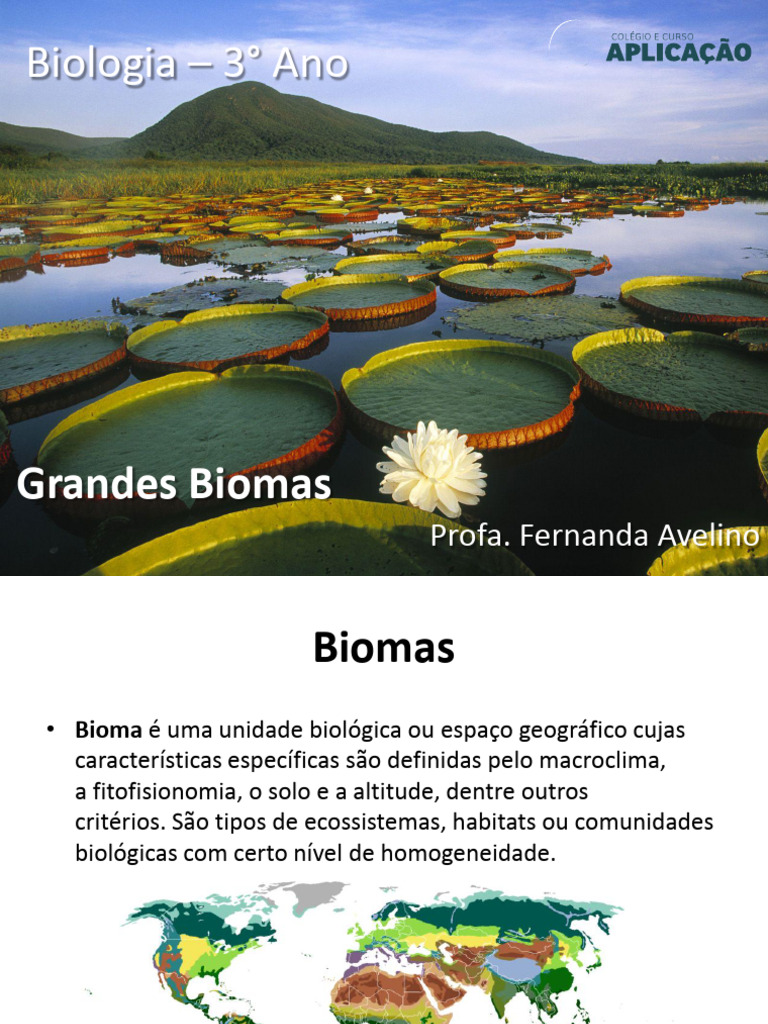 Aula 07 - Biomas | PDF | Deserto | Pradaria