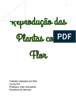 Reprodução das Plantas com Flor (1)