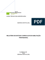 Relatório de Estágio Agropecuária