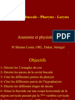 Anatomie  Cou - Cavité buccale - pharynx - larynx