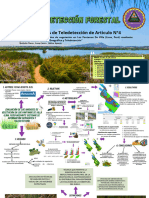 Teledetección Mapa Mental