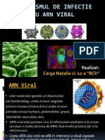 ARN Viral - 1