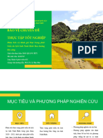 Slide CĐTT Du Lịch Ninh Bình 2023