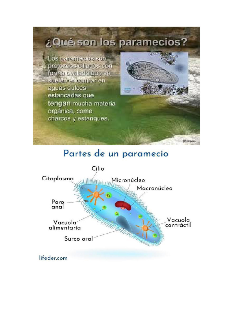123 | PDF