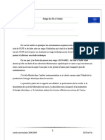 PDF Rapport Finale T - Compress