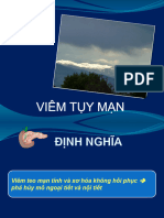 Viem Tuy Man Y6