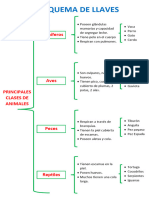 Esquema de Llavez