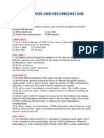 Sheet 2 Dna Repair and Recombination