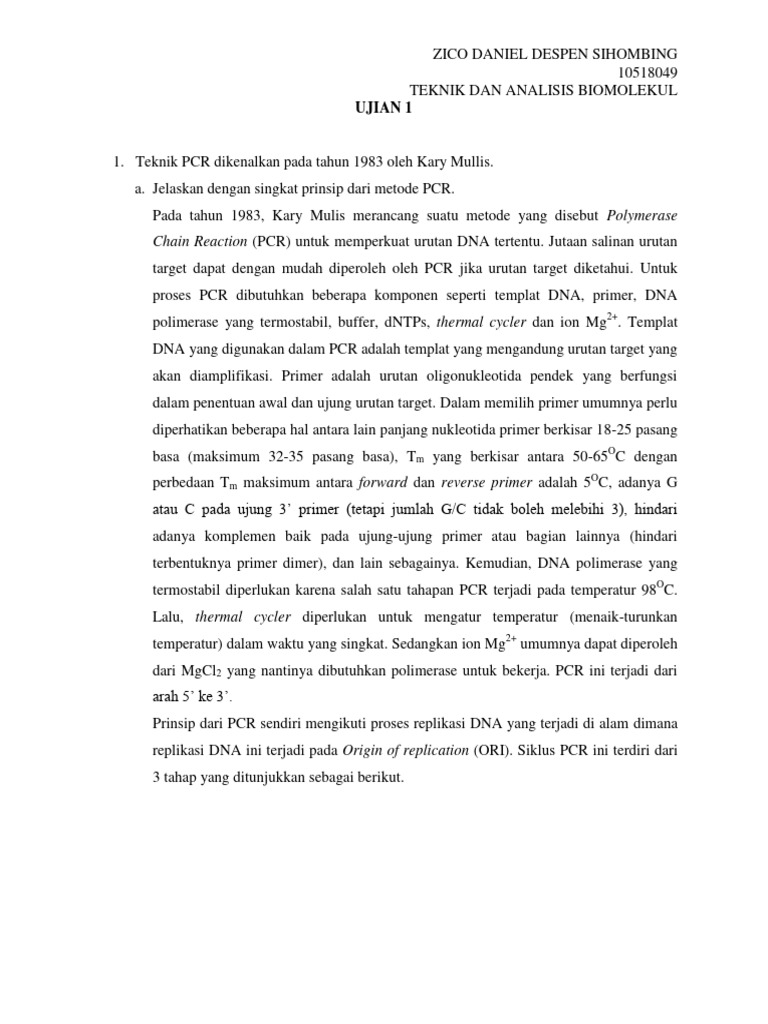 Zico Daniel Despen Sihombing U1 | PDF | Teknologi & Rekayasa