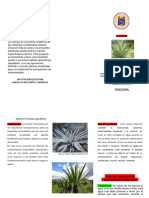 Triptico Feria PDF