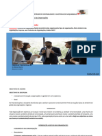 TEMA1 FUNDAMENTOS DA ORGANIZACAO 2024