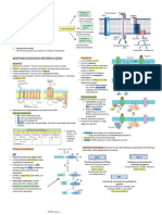 Receptores I: Receptores Acoplados A Proteínas G (GPCR)