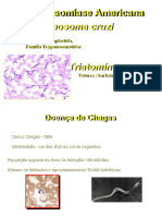 Chagas Not