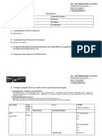 Lesson Plan Blank