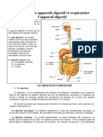 L'appareil Digestif Et Respiratoire.